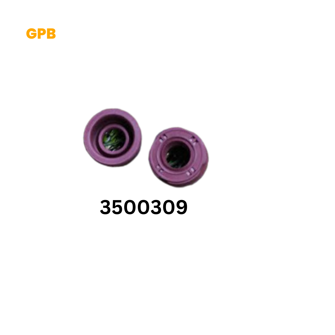 OIL SEAL