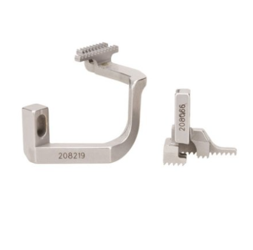 FEED DOG (5TH. LIGHT)