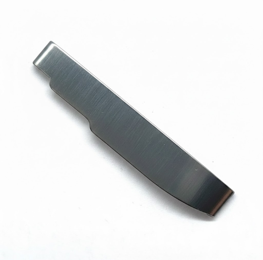 PRESSER FOOT SPRING PLATE  (B)